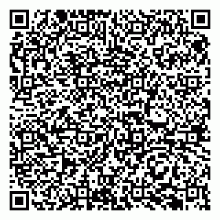 vCard 79513381177