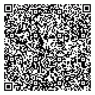 vCard 79513393665