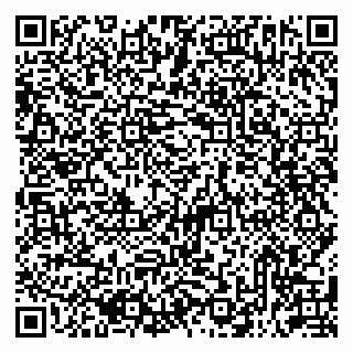 vCard 79513393689
