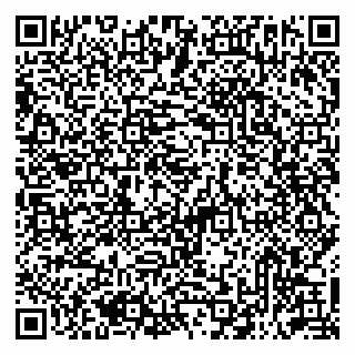 vCard 79513393721
