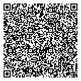 vCard 79513393735