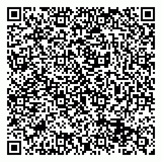 vCard 79513393740