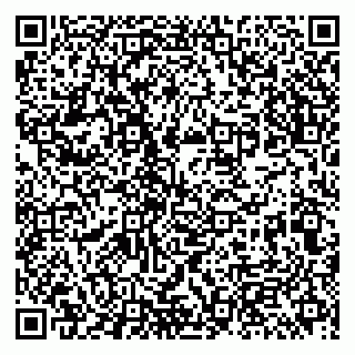 vCard 79513393741