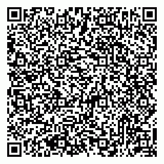 vCard 79513393765