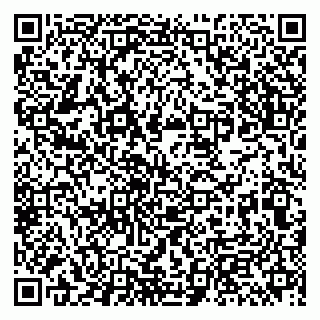 vCard 79513393769