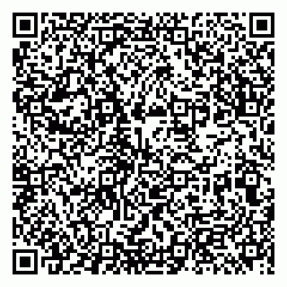 vCard 79513393782