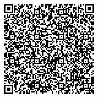 vCard 79513393805
