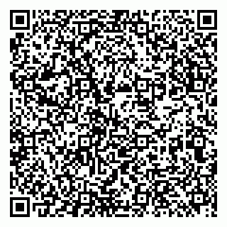 vCard 79513393809
