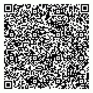 vCard 79513393811