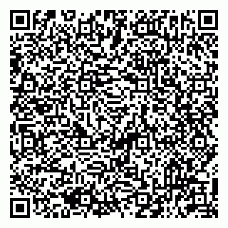 vCard 79513393819