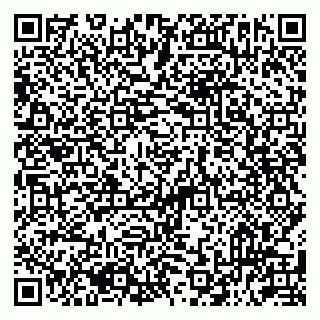 vCard 79513393888