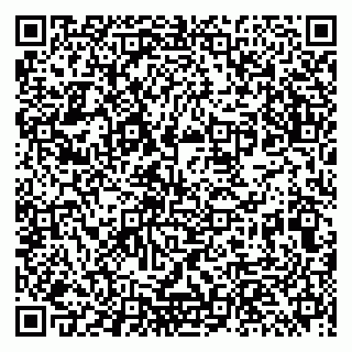 vCard 79513393906