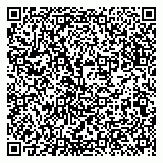 vCard 79513393907