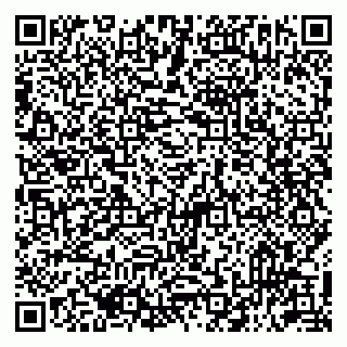 vCard 79513393918