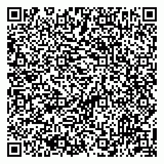 vCard 79513393919