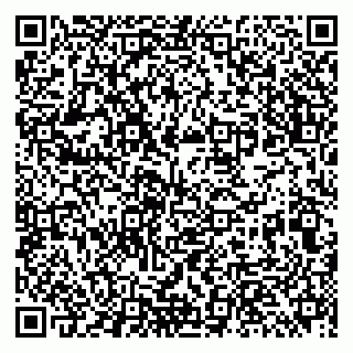 vCard 79513393921