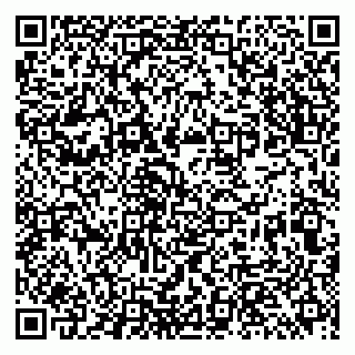 vCard 79513393970