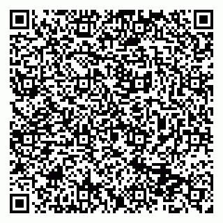 vCard 79513393973