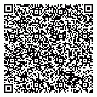 vCard 79513393981