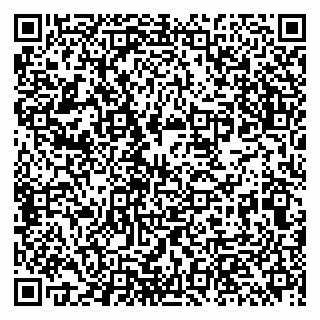 vCard 79513393999