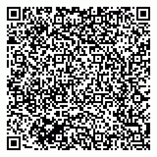 vCard 79513404820