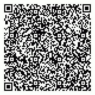 vCard 79513440310