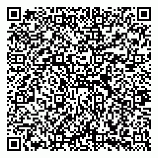 vCard 79514002132