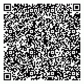 vCard 79514002382