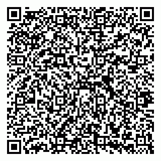 vCard 79514003381