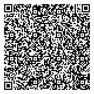 vCard 79514003533