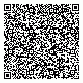 vCard 79514302977