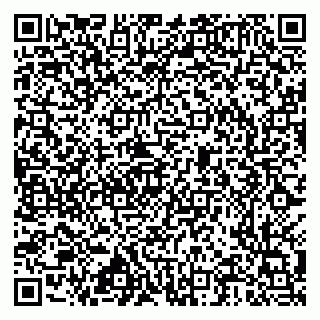 vCard 79517300099