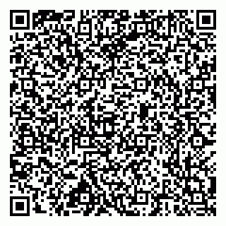 vCard 79517300138