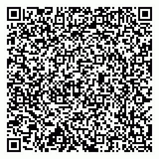 vCard 79517300151