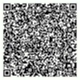 vCard 79517300251