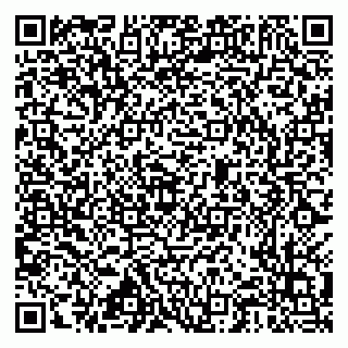 vCard 79517300287
