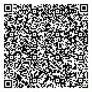 vCard 79517300290