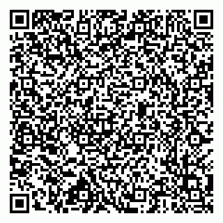 vCard 79517300295