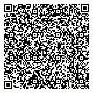 vCard 79517353728