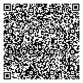 vCard 79517353729