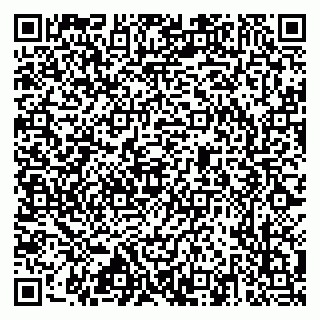 vCard 79517353730