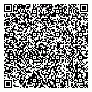 vCard 79517353731
