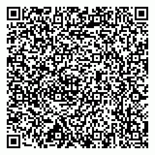 vCard 79517353732
