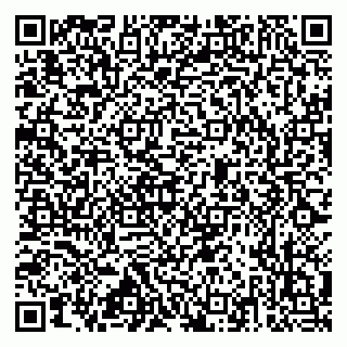vCard 79517353733