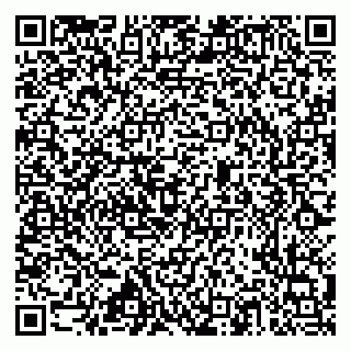 vCard 79517353801