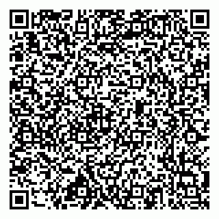 vCard 79517353803