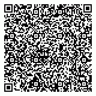 vCard 79517353810