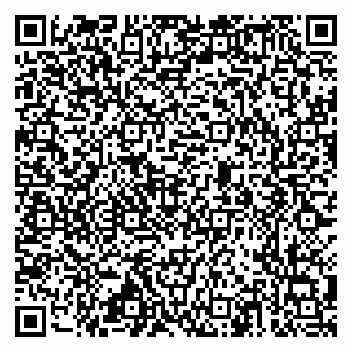vCard 79517353813