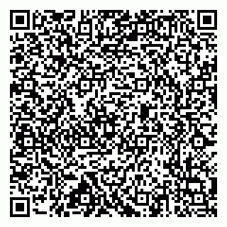 vCard 79517353817