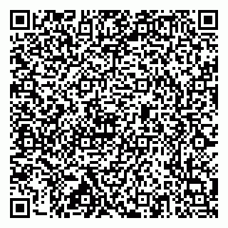 vCard 79517353821